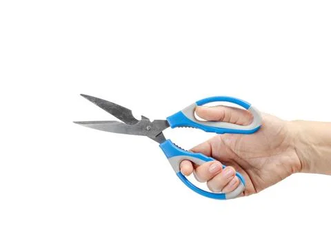 Woman's hand holding a kitchen scissors on the white background. Stock Photos