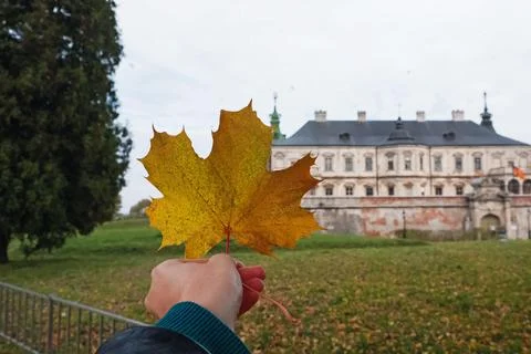 Woman's hand holding a maple leaf Stock Photos