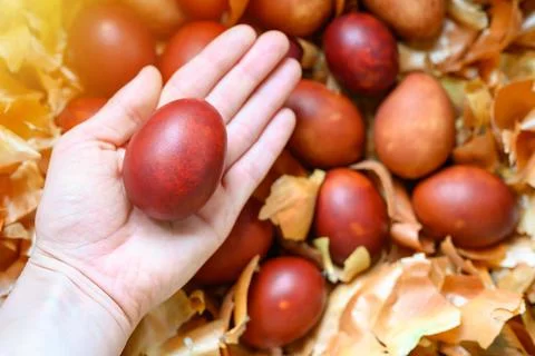 Woman's hand holds easter egg painted onion husks. coloring the eggs accordin Stock Photos