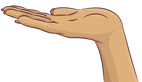 Womans hand keep something isolated on white Stock Illustration