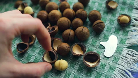 A woman's hand lays the shell and the kernels of macadamia on a linen towel. Del Stock Footage 104935047