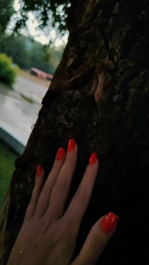 A woman's hand with a manicure, a tree trunk, a park Stock Footage 312004927