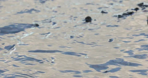A woman's hand with a multi-colored manicure touches the water in the river 스톡 동영상 135486598