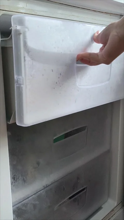 A womans hand opens the freezer door in the refrigerator and pulls out a Stock-Footage 313834071