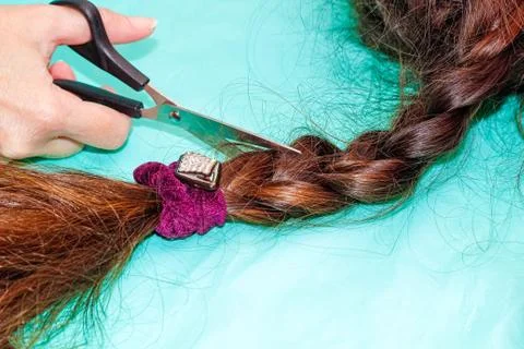 A woman's hand with a pair of scissors cuts a long plait of dark hair. Foto stock