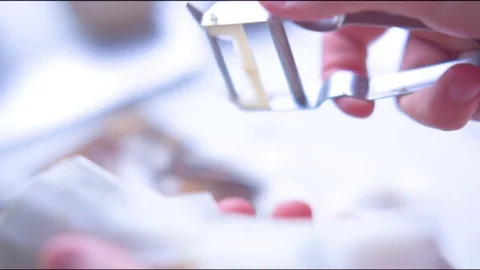 Woman's hand peeling vegetable in the kitchen Stock Footage 76140048