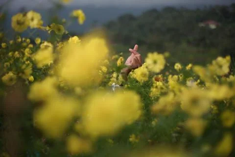 Woman's hand Stock Photos