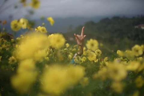 Woman's hand Stock Photos