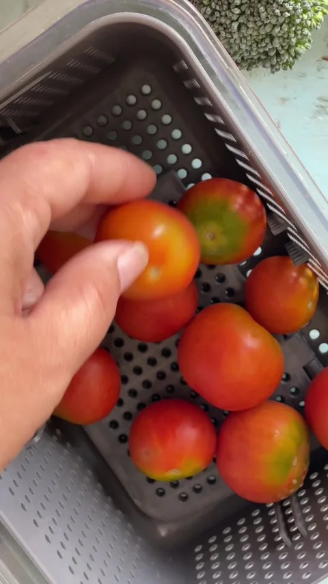 Woman's hand picking cherry tomato. Stock Footage 287860236