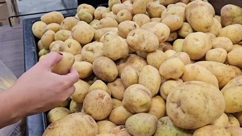 A woman's hand picking potatoes Stock Footage 326564074