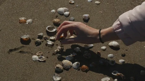 Woman's hand picking seashells Stock Footage 128949961