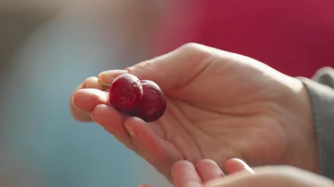 Woman's Hand Picks A Red Cherry Stock Footage 254473427