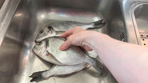 Woman's hand places a fish into a kitchen sink beside two others. Video stock 342747803