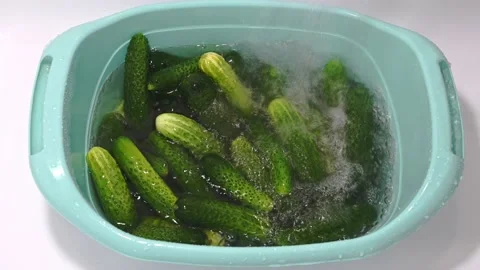 Woman's hand pours the fresh cucumbers into the pelvis to prepare for homemade Stock Footage 137467085