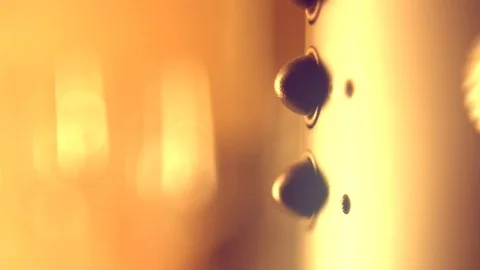 Woman's hand pressing the button on espresso coffee machine closeup Stock Footage 71102532