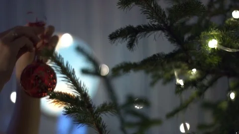 Woman's hand putting red ball on christmas tree Stock Footage 70801295