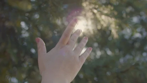 Woman's Hand Reaches For Sun, She Plays With The Light, Sun Rays Dance Stock-Footage 129410102