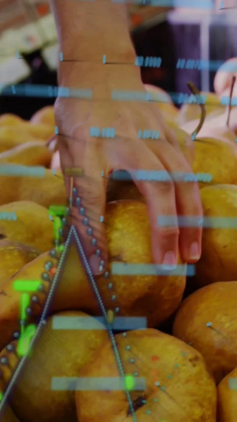Woman's hand reaching into grocery pears and inspecting, blue bars and green Stock Footage 334396233