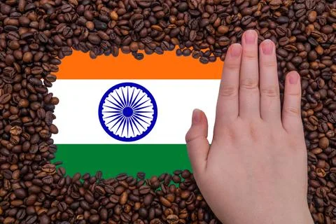 Woman's hand on a rectangular frame of roasted coffee beans Foto stock