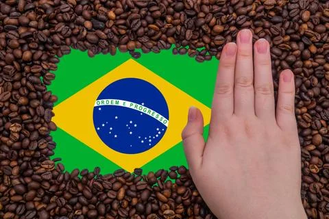 Woman's hand on a rectangular frame of roasted coffee beans Foto stock