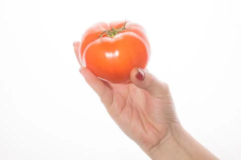 Woman's hand with red nail polish shows tomato on a white background Stock Photos