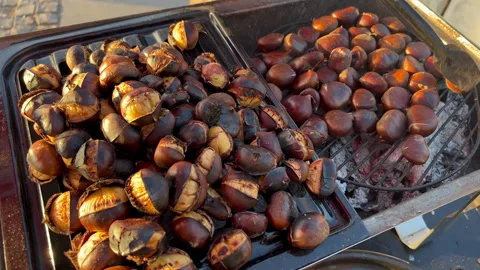 Womans hand roasting chestnut on coals outside during the day. Stock Footage 234690367
