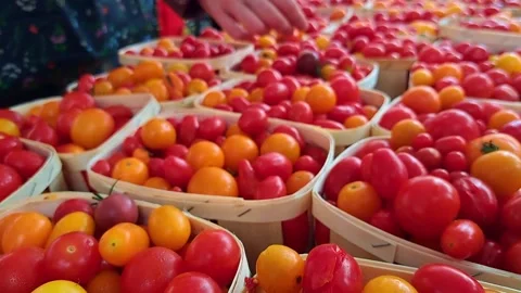 A woman's hand selects fresh cherry tomatoes from a basket at a farmers' market Stock-Footage 317101713