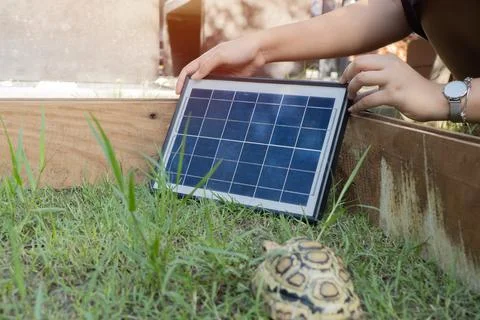 A woman's hand setting a small solar cell panel in her turtle farming area .. Stock Photos