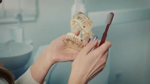 Woman's hand shaking a jaw model sitting at the dentist at a dental consultation Stock Footage 151085340
