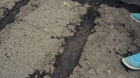 Woman's hand is sowing the seeds in the ground Stock Footage