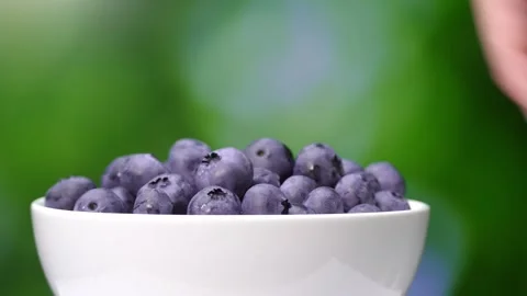 Woman's hand takes and puts berry of ripe selected blueberries from plate 库存影片 248783248