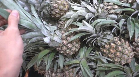 Woman's hand taking pineapple at shopping center market slow motion HD Stockbeeldmateriaal 65822862