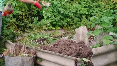 Woman's hand throws egg shell at compost heap in the backyard. Stock Footage 153732195