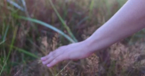 Woman's hand touching the grass #1 Stock Footage 66690151