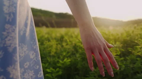 Woman's hand touching the spikelets of grass during a summer walk. Walk through Stock Footage 255029328
