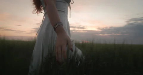 Woman's Hand Touching Tall Grass at Sunset Stock Footage 307767343