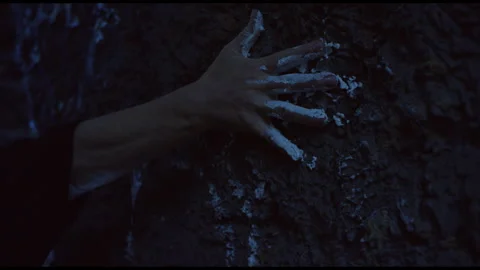 Woman's hand on tree bark Stock Footage 283232227