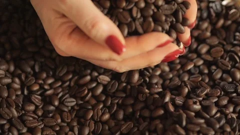 Woman's hands are covered in coffee beans Stock Footage 301623326
