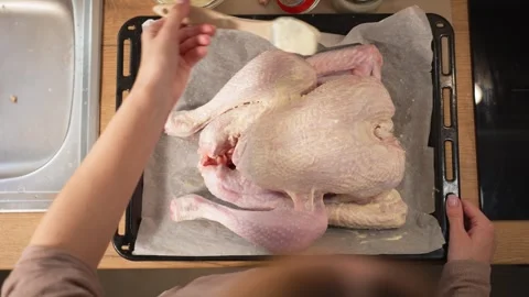 Woman's hands brushing raw turkey with marinade on a baking tray, preparing.. 스톡 동영상 345474649