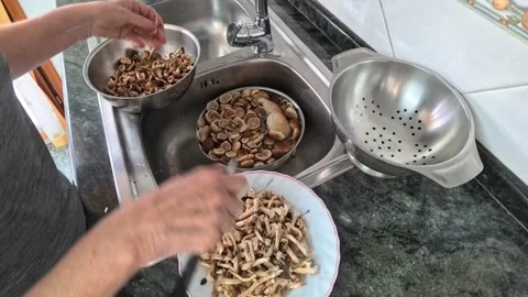 Woman's hands cleaning freshly picked mushrooms Vidéo 335103389