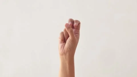 Woman's hands counting the numbers one to five on a white background. Stockbeeldmateriaal 291856335