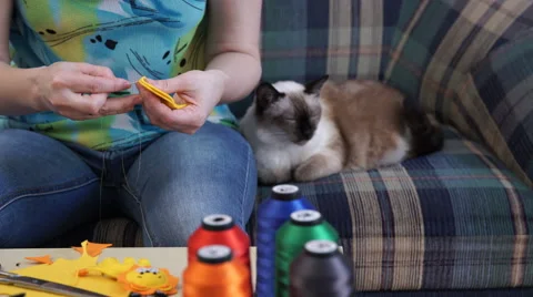 The Woman's Hands Creates Bright Colored Toys of Handmade Stock Footage 61155795