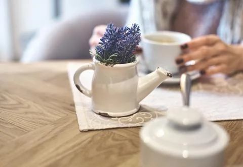 Womans hands with cup of tea Stock Photos