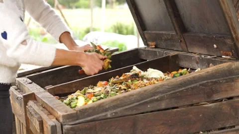 Woman's hands cutting pieces of fruit to put them in a compost in an orchard Stock Footage 274554664