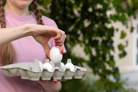 Woman's hands gently placing a white egg into a cardboard carton, symbolizi.. Stock Photos