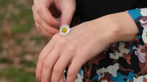 A woman's hands hold a small daisy and twirl it in her fingers. Stock Footage 221400412