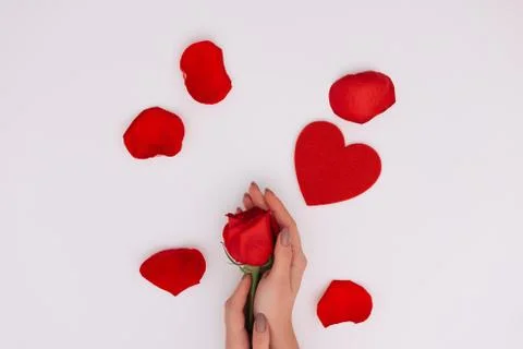 Woman`s hands holding red rose near red heart on white background. Stock Photos