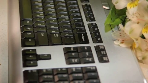 Woman's hands keyboard flowers Video stock 84385097