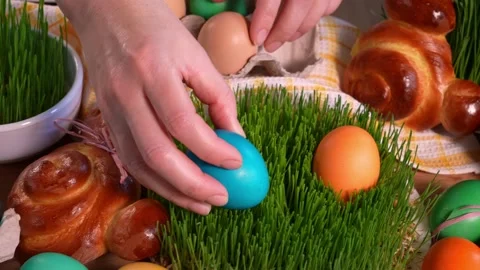 Woman's hands laying easter eggs on microgreen, close-up Stock Footage 169571183