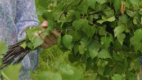 Woman's hands make birch brooms for russian sauna Video stock 94566344
